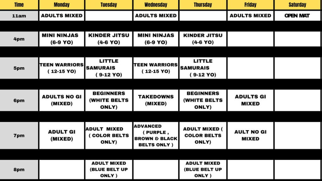 Timetable DS Team Jiujitsu